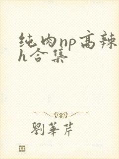 纯肉np高辣文h合集封面