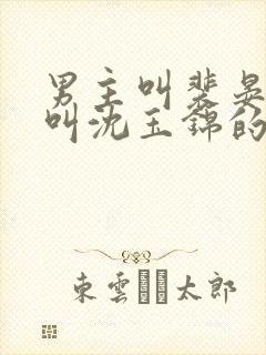 男主叫裴晏女主叫沈玉锦的小说