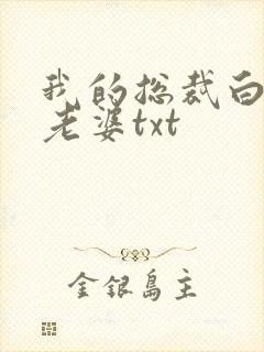 我的总裁白富美老婆txt