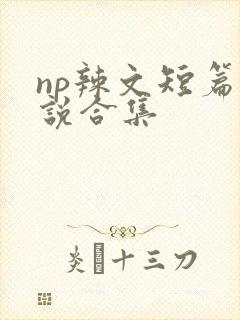 np辣文短篇小说合集封面