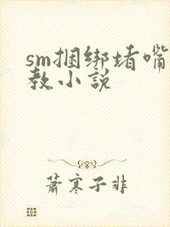 sm捆绑堵嘴调教小说