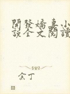 开发娇妻小楠小说全文阅读最新章节