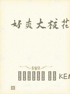 好爽大校花h文