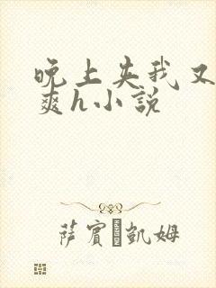 晚上夹我又紧又爽h小说