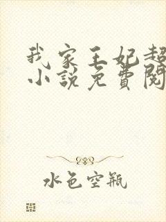 我家王妃超凶的小说免费阅读