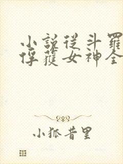 小说从斗罗开始俘获女神全文在线阅读