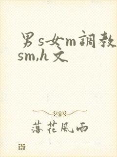 男s女m调教(sm,h文
