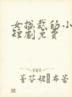 女总裁的小娇夫短剧免费