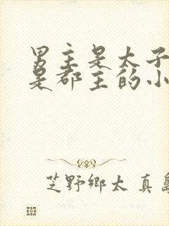 男主是太子女主是郡主的小说