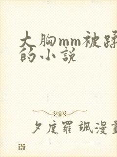 大胸mm被蹂躏的小说封面