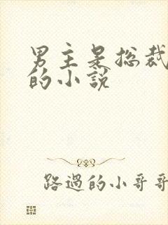 男主是总裁姓沈的小说