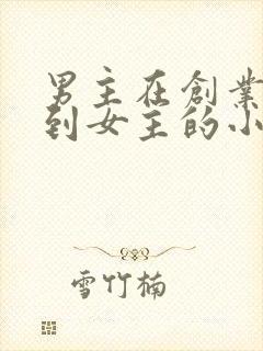 男主在创业期遇到女主的小说