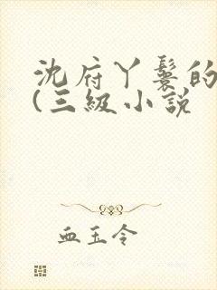 沈府丫鬟的淫史(三级小说封面