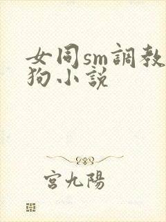 女同sm调教母狗小说