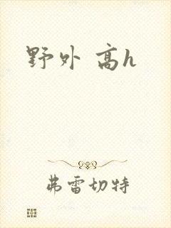 野外 高h