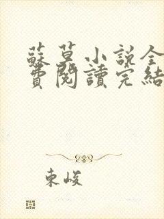 苏莫小说全文免费阅读完结篇