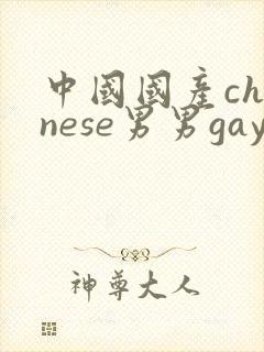 中国国产chinese男男gay gay网站封面