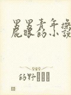 男男青年操老头屁眼的小说封面