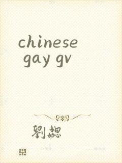 chinese gay gv