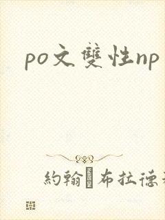 po文双性np
