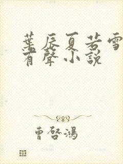 叶辰夏若雪孙怡有声小说