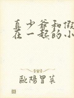 真少爷和假少爷在一起的小说