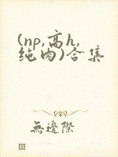(np,高h,纯肉)合集