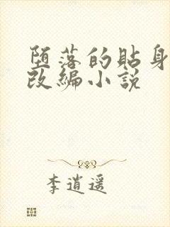 堕落的贴身高手改编小说封面