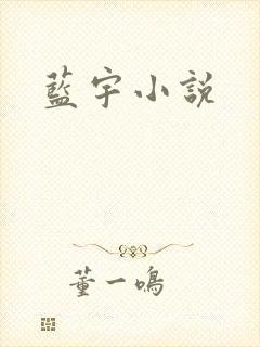 蓝宇小说