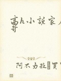高h小说家庭哥哥