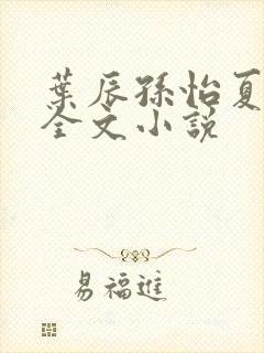 叶辰孙怡夏若雪全文小说