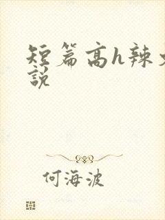短篇高h辣文小说