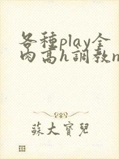 各种play全肉高h调教np