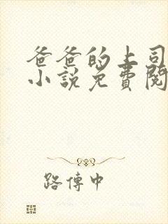 爸爸的上司王叔小说免费阅读封面