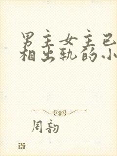 男主女主已婚互相出轨的小说