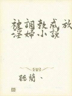 被调教成放荡小淫妇小说