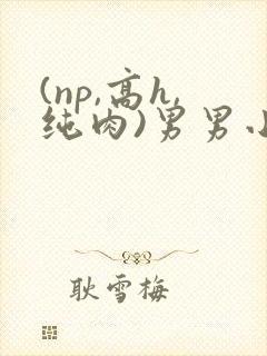 (np,高h,纯肉)男男小说封面