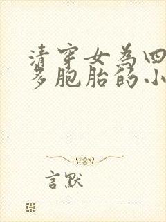 清穿女为四爷生多胞胎的小说