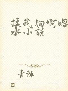 揉我胸啊嗯～出水小说封面