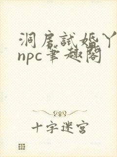 洞房试婚丫鬟的npc笔趣阁