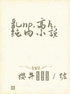乱np,高h,纯肉小说