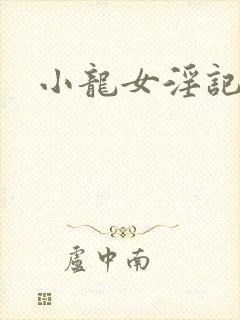 小龙女淫记h文