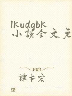 lkudgbk小说全文免费阅读笔趣阁无弹窗封面