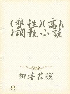 (双性)(高h)调教小说