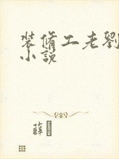 装修工老刘林雪小说