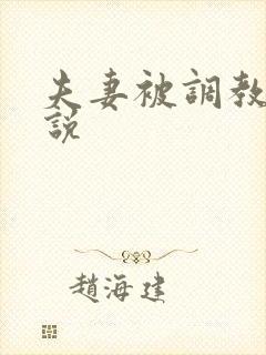 夫妻被调教的小说