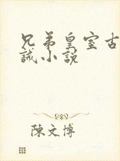 兄弟皇室古风训诫小说