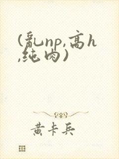 (乱np,高h,纯肉)