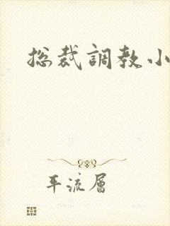 总裁调教小娇妻封面