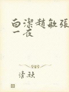 白洁赵敏张倩玩一夜封面